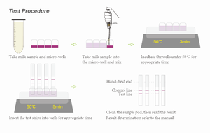(Non destiné aux humains) <span class=keywords><strong>Kit</strong></span> de <span class=keywords><strong>test</strong></span> combiné BT 2 en 1, bandelettes de <span class=keywords><strong>test</strong></span> rapide combinées bêta-lactamines et tétracyclines, <span class=keywords><strong>kit</strong></span> de <span class=keywords><strong>test</strong></span> d'antibiotiques dans le lait - Product Image 3