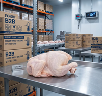 Pollo Entero Congelado Halal al por Mayor, Pollo Entero Congelado para Exportación, Desplumado y Limpiado, Carne de Aves