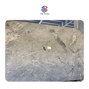 TMZ STONE ODM OEM Dalles de granit gris atlantique naturel pour comptoirs d'hôtel et dessus de vanité - Product Image 2