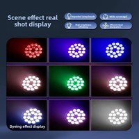 Projecteur PAR LED 10W 18 pièces, pleine couleur, quatre-en-un, activé par le son, tension universelle, IP, pour scène de mariage et spectacles