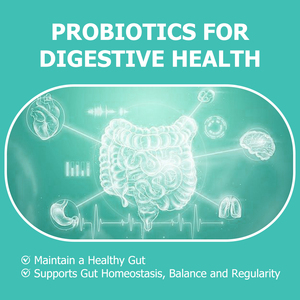 Private Label Womens Probiotic Capsules with Premium Probiotic Blend Relieve Immune Support Immune Health a Healthy Capsules - Product Image 6