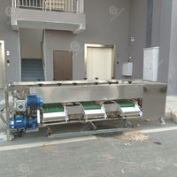 Fabriek Leveren Tomaat Grootte Sortering Roller Sorteermachine Roller Fruit Sorteermachine