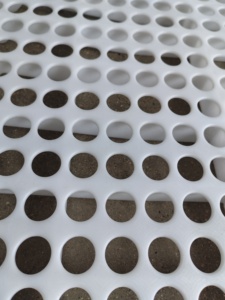Panneau de sol perforé en PP blanc pour l'élevage de poulets - Product Image 2
