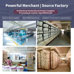 Pots de fleurs en céramique de style coréen, très demandés, peints à la main, vintage, pour la décoration intérieure, <span class=keywords><strong>le</strong></span> bureau, la maison, ou comme cadeau. - Product Image 6