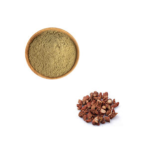 천연 식물 중국 허브와 향신료 댄 쉔 슬라이스 뿌리 분말 샐비어 Miltiorrhiza 추출물 - Product Image 3