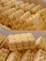 Machine à biscuits automatique, machine à biscuits résistante, couche de chocolat, machine à biscuits