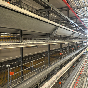 Hot Sale <strong>Automatic</strong> Steel H/A Type Chicken Cage House <strong>Machine</strong> <strong>for</strong> Poultry <strong>Farm</strong> New Condition <strong>for</strong> Home Use - Product Image 3