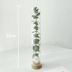 E77 Vente chaude Ensemble cadeau de fleurs séchées naturelles en tube de verre Pampas Fleurs séchées blanches et roses conservées avec du verre - Product Image 6