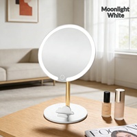 Miroir de Maquillage Personnalisé en Gros avec Finition Argentée, Lumières LED à 3 Couleurs Dimmables, Portable, Modèle de Coiffeuse de Bureau Rotatif