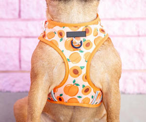 Tali kekang anjing pola kustom dapat dibalik dengan fitur Label personalisasi-produk hewan peliharaan kaya - Product Image 4