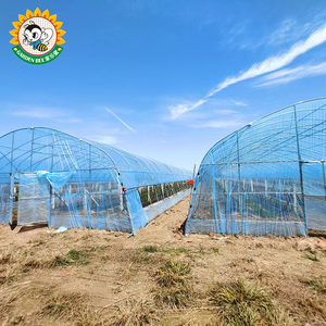 ฟิล์มพลาสติกสำหรับโรงเรือนปลูกพืชแบบอุโมงค์ ยี่ห้อ Garden Bee รุ่น Innovative Tunnel ป้องกันฝ้าและกระจายแสง - Product Image 4