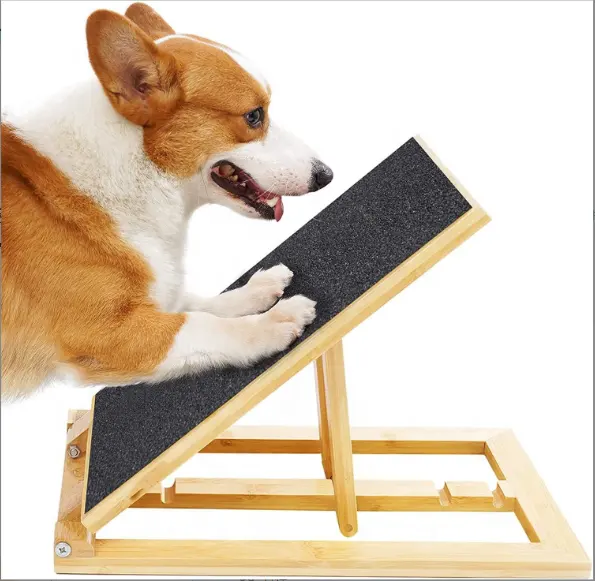 कुत्तों के लिए 2023 कुत्ते कील खरोंच बोर्ड नाखून फाइल पंजा बिल्ली Scratcher पालतू खिलौना Foldable बांस Dongguan गत्ते का डिब्बा लकड़ी के खिलौने लकड़ी के खिलौने