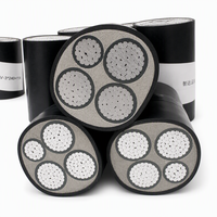 Câble d'alimentation en aluminium isolé XLPE LSZH à faible émission de fumée et sans halogène WDZ-YJLV 3*120+1*70 0,6/1kV, câble ignifuge basse tension