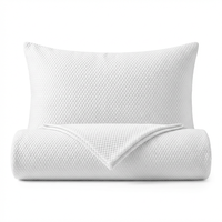 Taie d'oreiller et housse de coussin en Lyocell rafraîchissant de qualité supérieure - Respirant et anti-humidité pour les personnes ayant chaud la nuit