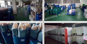 <span class=keywords><strong>Olio</strong></span> vettore di alta qualità <span class=keywords><strong>olio</strong></span> di semi di broccoli naturale puro al 100% sfuso - Product Image 4