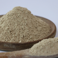 Poudre de champignon Shiitake naturel de qualité supérieure, séchée, en vrac, biologique et saine, fournie par l'usine au meilleur prix