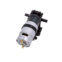 Pompe à eau à engrenages 1,3 L/min 6V-24V, hauteur de refoulement 2m pour distributeur de café OEM