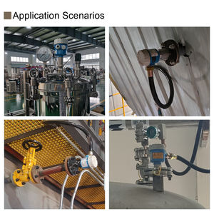 מתג מפלס RF מדויק לנוזלים ומוצקים עם חיישן גובה בתדר רדיו - Product Image 6