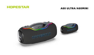 Karaoke A80 ULTRA 650W Altoparlante Portatile Wireless per Esterni con Grande Potenza, Subwoofer Bluetooth 5.3, Bassi Profondi, Impermeabile, con Microfono - Product Image 4