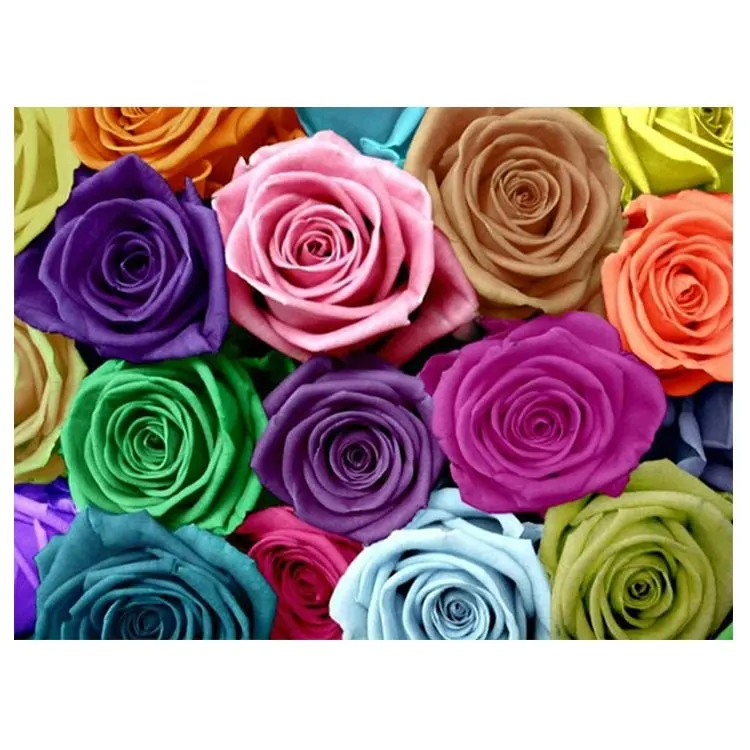 Que momento de mosaico hermosas rosas flor plena plaza taladro 3F260