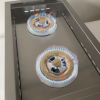 Nouvelle arrivée - Barbecue extérieur à gaz en acier inoxydable avec brûleur double face, 30 000 BTU et dispositif de sécurité anti-flamme