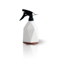 Bouteille pulvérisatrice compacte Ruipu PP de 600 ml avec sortie d'eau commutable pour l'arrosage du jardin - Arrosoir