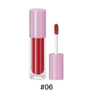 Commercio all'ingrosso No Logo Waterproof Glossy Lipgloss Mini Lipgloss contenitori 63 colori Shimmer lucidalabbra vegano di alta qualità