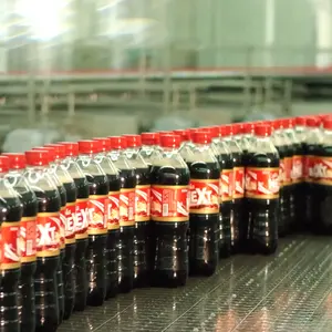 Complete automatic pet bottle carbonated soft drink beverage filling bottling machine equipment plant production line