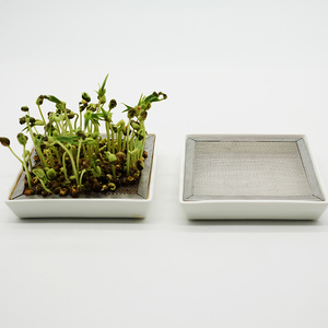 Plato de Cerámica para Germinar, Cuadrado, para Brotes de Frijol Verde y Amarillo, Ecológico y Apto para Familias - Product Image 4