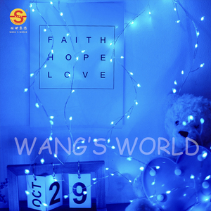 Bộ Điều Khiển Bộ Chuyển Đổi 6M 200L Đèn Dây Đèn LED Hình Vòng Hoa Đèn Chùm Giáng Sinh - Product Image 3