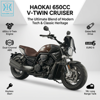 Moto Cruiser Haokai 650cc à Moteur V-Twin Refroidi par Eau, Transmission par Courroie, avec ABS, Conforme EURO 5 CEE – Vente Directe Usine