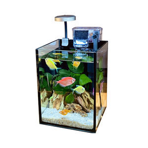 حوض سمك زجاجي مستطيل فائق البياض بحجم مخصص 16 لتر مع فلتر للاستخدام في غرفة المعيشة أو المكتب - Product Image 3