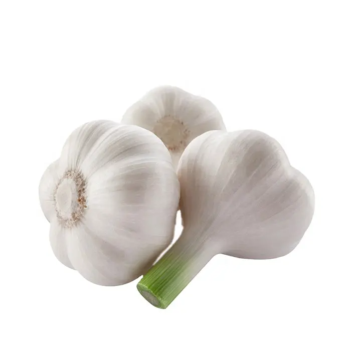 Pure whit Garlic from China with High Quality Normal White Garlic Wholesale