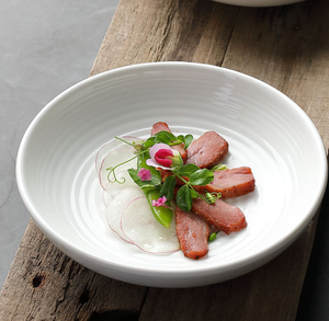 Vajilla de Porcelana Ecológica al por Mayor, Platos para Sashimi, Tazones Poco Profundos, Tazones para Aperitivos, Ensaladas, Fideos, Postres, Libres de BPA, Grado Alimenticio - Product Image 3