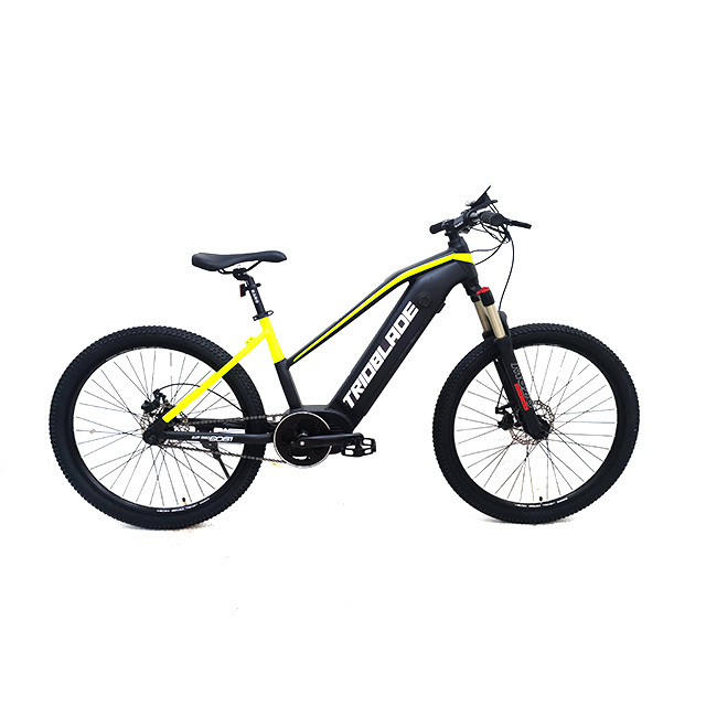 Electric City Bikes Electric Sports Bike Electric Bicycle