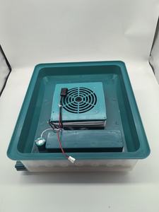 Nouvelle <span class=keywords><strong>couveuse</strong></span> <span class=keywords><strong>automatique</strong></span> pour œufs de poulet en PP verte de 130 pièces pour une utilisation à la ferme et à la maison - Product Image 2