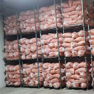 Vente en gros de carottes congelées du Vietnam avec un service après-vente de haute qualité et fiable OEM disponible - Product Image 6