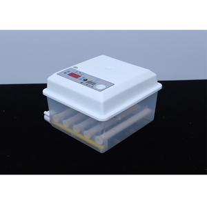 Chinese Manufacturer's Home Use Digital Mini <strong>Egg</strong> Incubator New 9/<strong>12</strong>/16 <strong>Egg</strong> Capacity for Chicken Duck Ostrich Turkey Plastic - Product Image 5