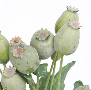 N-070卸売フェイクジプソフィラポピーカプセル種子フルーツ枝人工ポピー屋外ガーデン装飾用 - Product Image 3