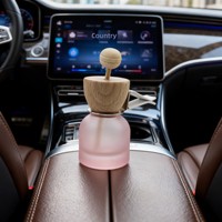 Bouteilles diffuseurs de parfum en verre vides en gros avec bâtonnets en bois et bouchon argenté, logo personnalisé, pour parfum et désodorisant d'ambiance