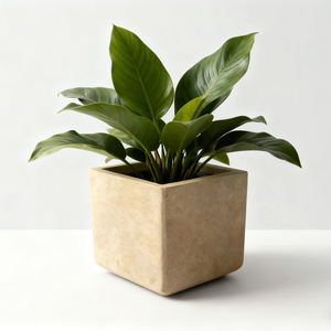 Macetas <span class=keywords><strong>de</strong></span> Arcilla <span class=keywords><strong>de</strong></span> Óxido <span class=keywords><strong>de</strong></span> Magnesio, Color Blanco y Camel, Estilo Vintage, Ecológicas, Capacidad <span class=keywords><strong>de</strong></span> 5L, Macetas para Jardín y Hogar, Venta al <span class=keywords><strong>por</strong></span> <span class=keywords><strong>Mayor</strong></span> - Product Image 6