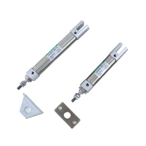 Hofujng CDJ2D Mini-cylindre pneumatique en acier inoxydable EPSMC à double anneau, avec anneau magnétique intégré - Product Image 5