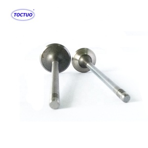 Valvola di Aspirazione OE 481H-1007011CA per Motore SQR481FC - Product Image 4