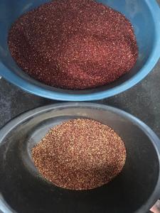 เครื่องคัดแยกสีเมล็ดผลไม้แบบอัจฉริยะ Wenyao พร้อมรีโมทคอนโทรลผ่าน Wifi สำหรับคัดแยกสีเมล็ดลูกเกด โรสฮิป และผลไม้อื่นๆทั้งแบบแห้งและสด - Product Image 6