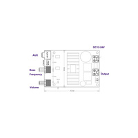 Carte d'amplificateur audio de puissance numérique pour subwoofer 100W Amplificateurs Mono Super Bass Classe D 20Hz-180Hz Subwoofer AMP TL072C