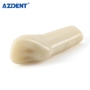 Modello Dentale Tipodonto Compatibile con Frasaco <span class=keywords><strong>AG3</strong></span> Tipo 32, Set di Denti Rimovibili per Pratica di Preparazione e Riparazione Carie - Product Image 3