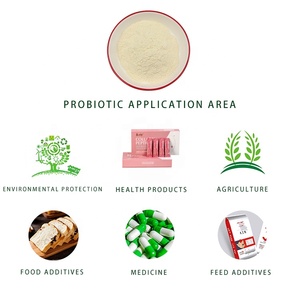 <span class=keywords><strong>Lactobacillus</strong></span> plantarum, suplemento alimenticio de alta calidad, precio de fábrica, en venta - Product Image 3