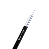 Câble de branchement Hunan Feibo GJYXFCH GJXH GJXFH extérieur/intérieur 1 2 4 fibres 3 fils en acier FRP 2*5mm Câble de branchement FTTH à fibre optique