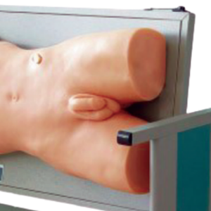 เครื่องเพอร์คัชชั่นสำหรับฝึกทักษะการฝึกเครื่องดนตรี adada แบบครอบคลุมพร้อมวัสดุพีวีซีสำหรับการเจาะกระดูกสันหลัง - Product Image 5