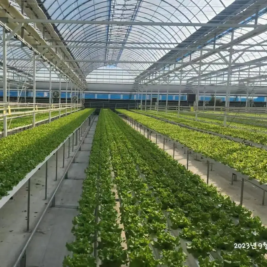 G & N tubi quadrati in PVC pianta idroponica sistema di coltivazione idroponica canali per l'agricoltura idroponica serra